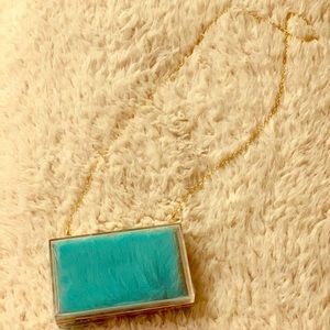 Clear Hard shell purse with fur inside